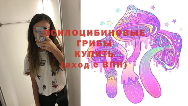 хмурый Алексеевка