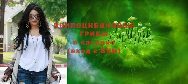 apvp Алзамай