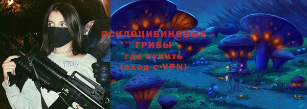 хмурый Алексеевка